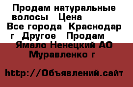 Продам натуральные волосы › Цена ­ 3 000 - Все города, Краснодар г. Другое » Продам   . Ямало-Ненецкий АО,Муравленко г.